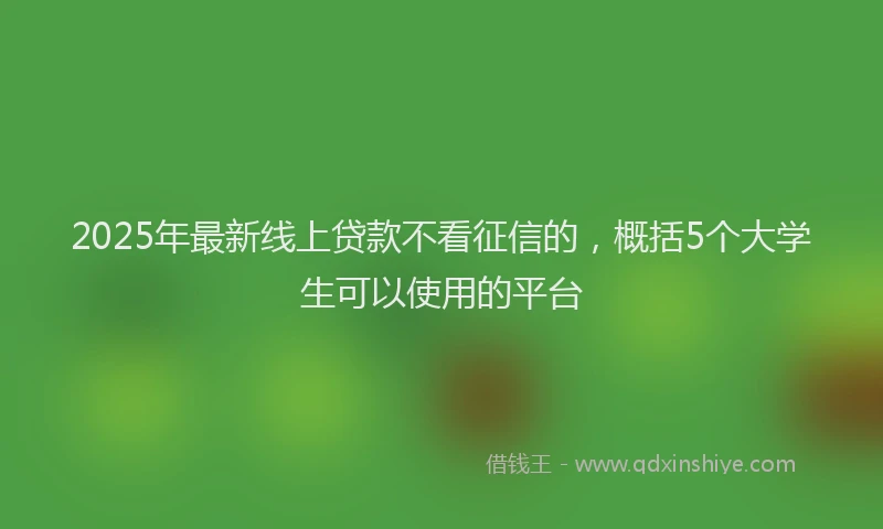 2025年最新线上贷款不看征信的，概括5个大学生可以使用的平台