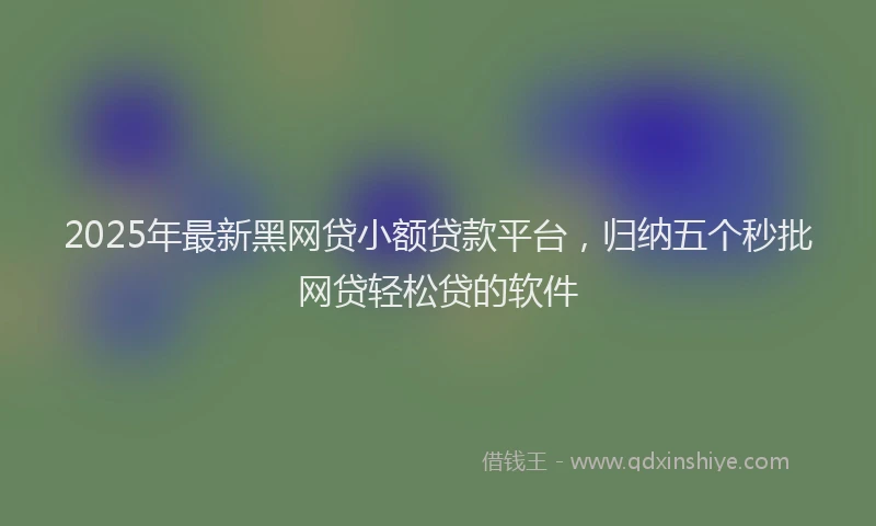 2025年最新黑网贷小额贷款平台，归纳五个秒批网贷轻松贷的软件
