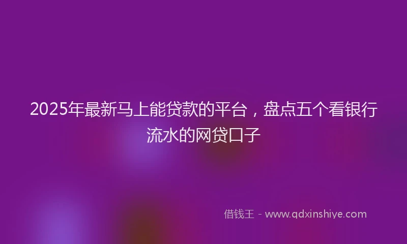 2025年最新马上能贷款的平台，盘点五个看银行流水的网贷口子