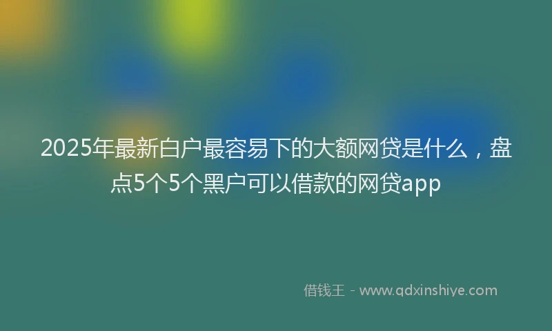 2025年最新白户最容易下的大额网贷是什么，盘点5个5个黑户可以借款的网贷app