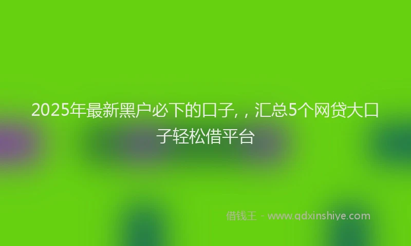2025年最新黑户必下的口子,，汇总5个网贷大口子轻松借平台