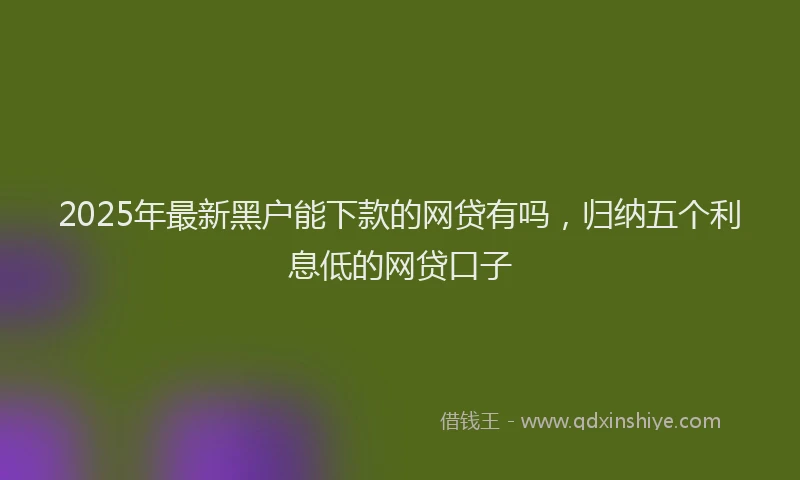 2025年最新黑户能下款的网贷有吗，归纳五个利息低的网贷口子