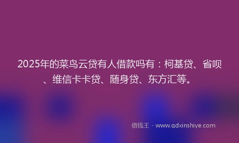 2025年的菜鸟云贷有人借款吗有：柯基贷、省呗、维信卡卡贷、随身贷、东方汇等。