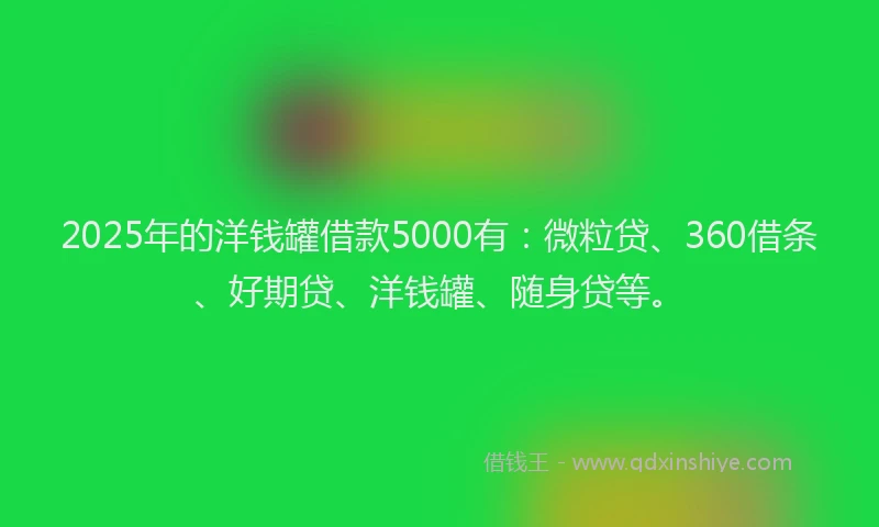 2025年的洋钱罐借款5000有：微粒贷、360借条、好期贷、洋钱罐、随身贷等。