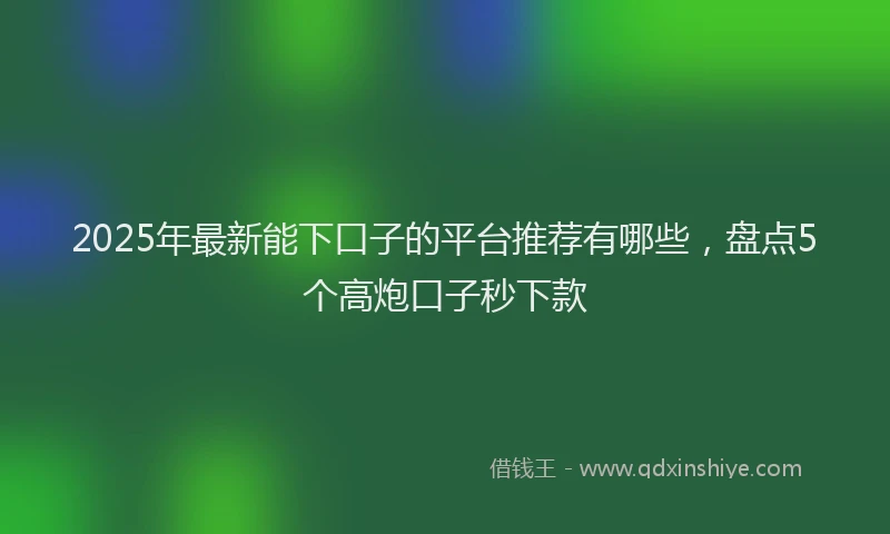 2025年最新能下口子的平台推荐有哪些，盘点5个高炮口子秒下款