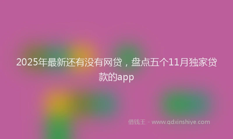 2025年最新还有没有网贷，盘点五个11月独家贷款的app