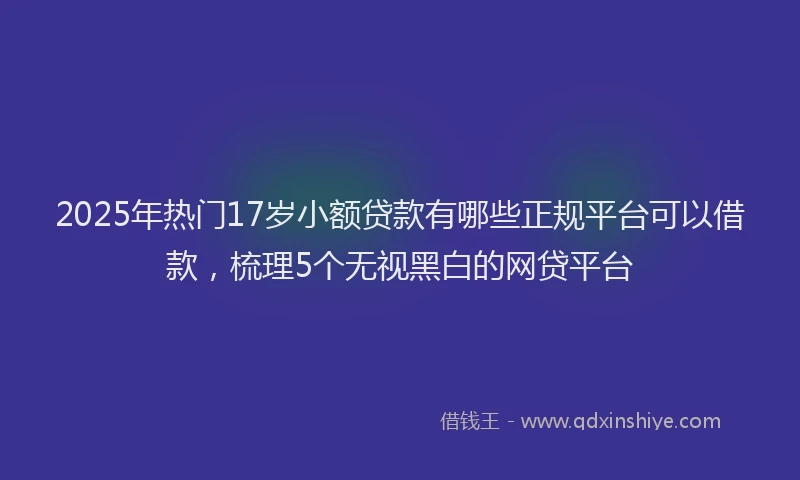 2025年热门17岁小额贷款有哪些正规平台可以借款，梳理5个无视黑白的网贷平台