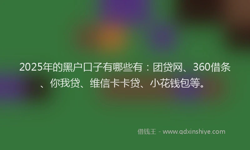 2025年的黑户口子有哪些有：团贷网、360借条、你我贷、维信卡卡贷、小花钱包等。