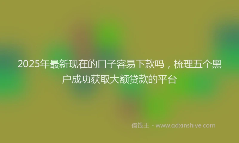 2025年最新现在的口子容易下款吗，梳理五个黑户成功获取大额贷款的平台