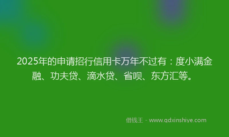 2025年的申请招行信用卡万年不过有：度小满金融、功夫贷、滴水贷、省呗、东方汇等。