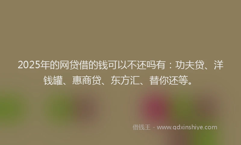 2025年的网贷借的钱可以不还吗有：功夫贷、洋钱罐、惠商贷、东方汇、替你还等。