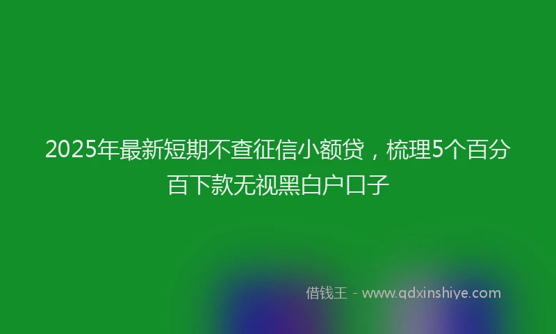 2025年最新短期不查征信小额贷，梳理5个百分百下款无视黑白户口子