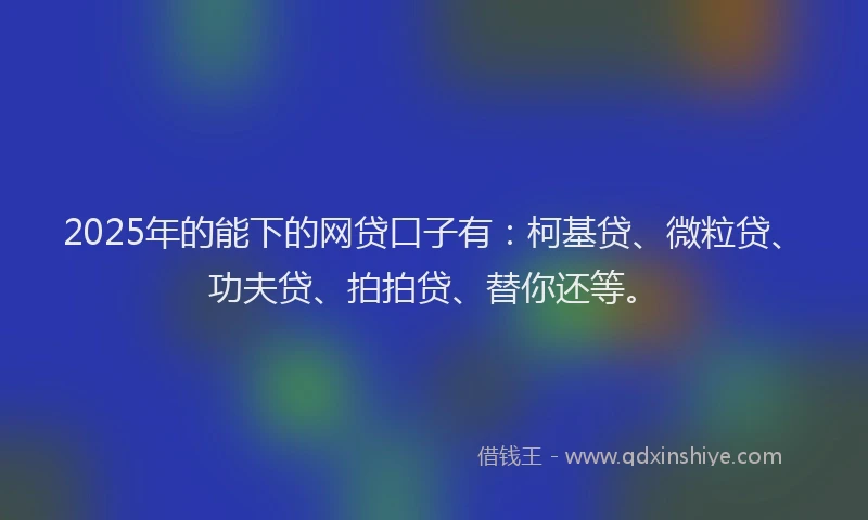 2025年的能下的网贷口子有：柯基贷、微粒贷、功夫贷、拍拍贷、替你还等。