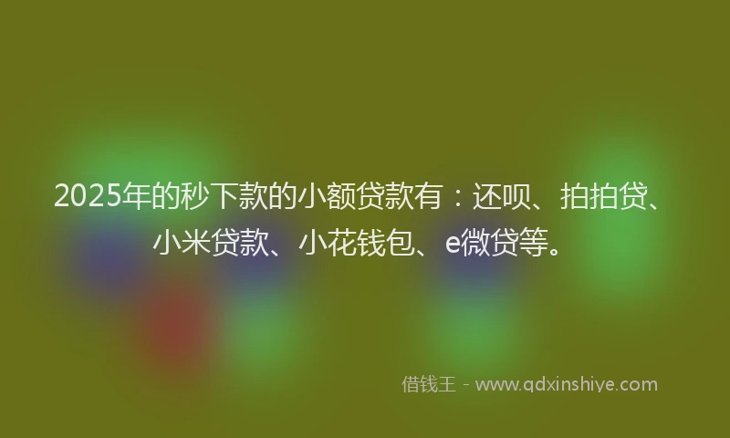 2025年的秒下款的小额贷款有：还呗、拍拍贷、小米贷款、小花钱包、e微贷等。