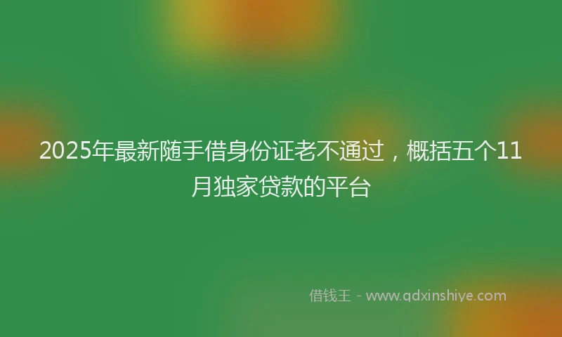 2025年最新随手借身份证老不通过，概括五个11月独家贷款的平台