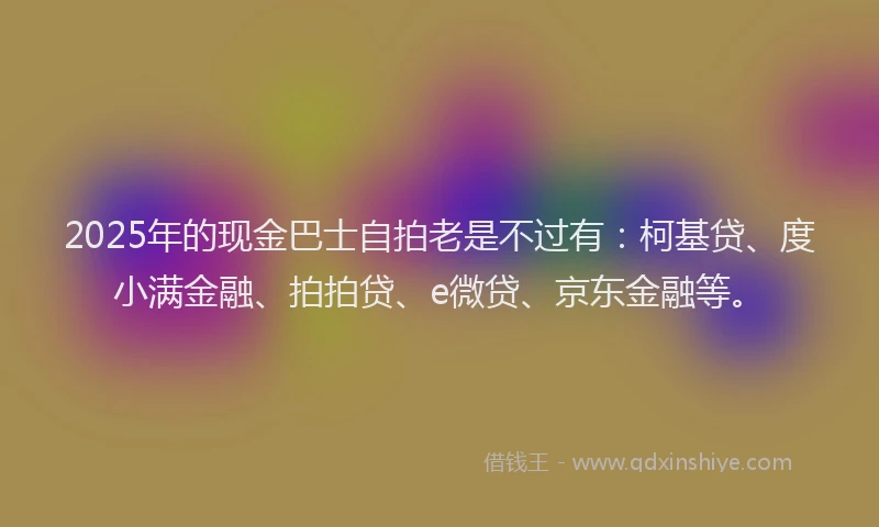 2025年的现金巴士自拍老是不过有：柯基贷、度小满金融、拍拍贷、e微贷、京东金融等。