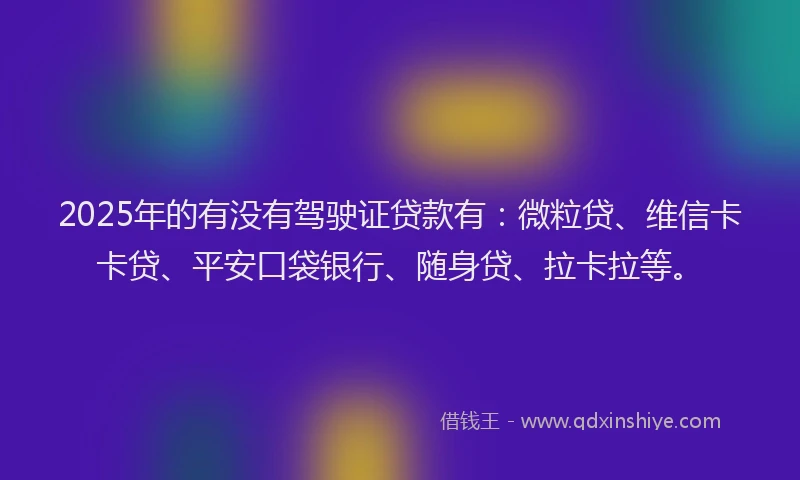 2025年的有没有驾驶证贷款有：微粒贷、维信卡卡贷、平安口袋银行、随身贷、拉卡拉等。