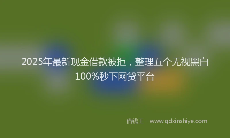 2025年最新现金借款被拒，整理五个无视黑白100%秒下网贷平台