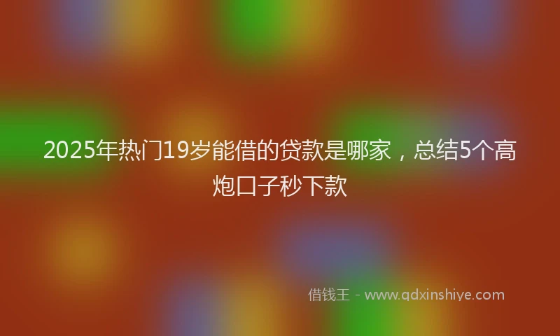 2025年热门19岁能借的贷款是哪家，总结5个高炮口子秒下款
