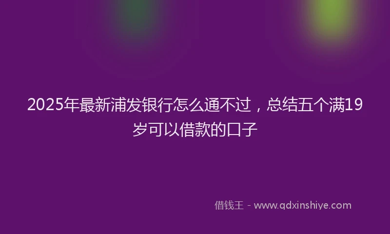 2025年最新浦发银行怎么通不过，总结五个满19岁可以借款的口子