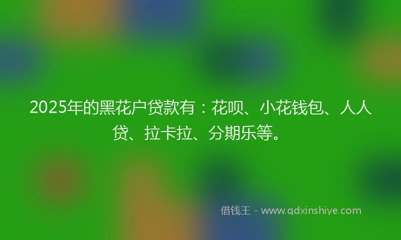 2025年的黑花户贷款有：花呗、小花钱包、人人贷、拉卡拉、分期乐等。