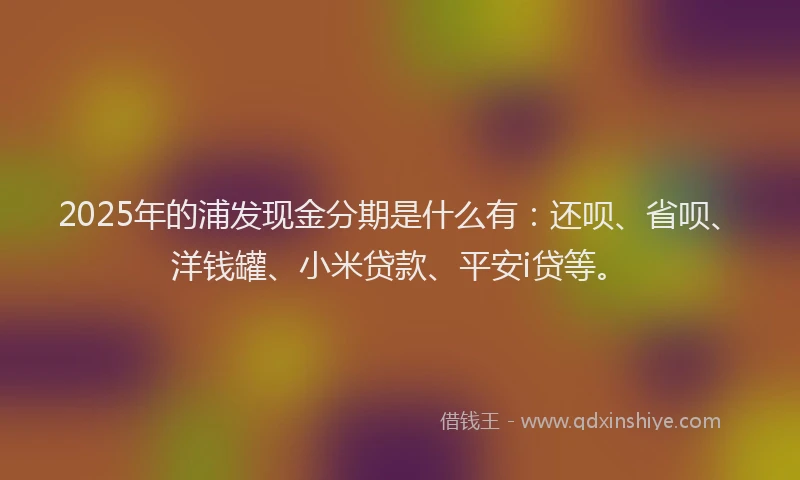 2025年的浦发现金分期是什么有：还呗、省呗、洋钱罐、小米贷款、平安i贷等。