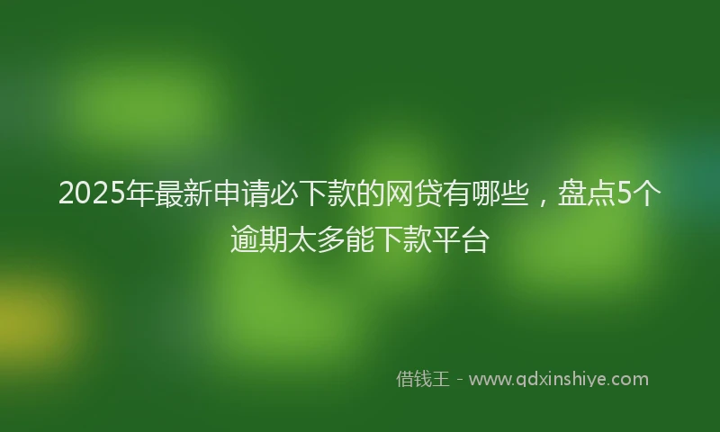 2025年最新申请必下款的网贷有哪些，盘点5个逾期太多能下款平台