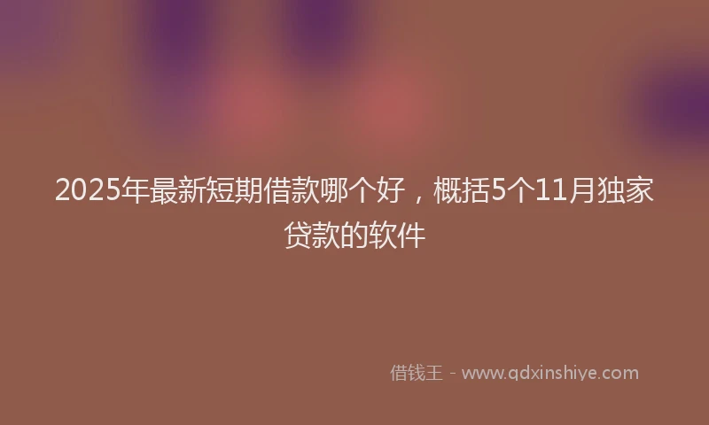 2025年最新短期借款哪个好，概括5个11月独家贷款的软件