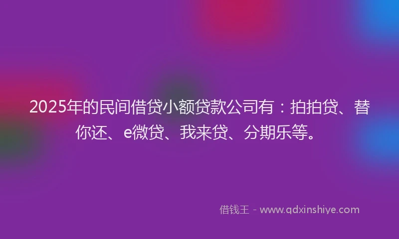 2025年的民间借贷小额贷款公司有：拍拍贷、替你还、e微贷、我来贷、分期乐等。