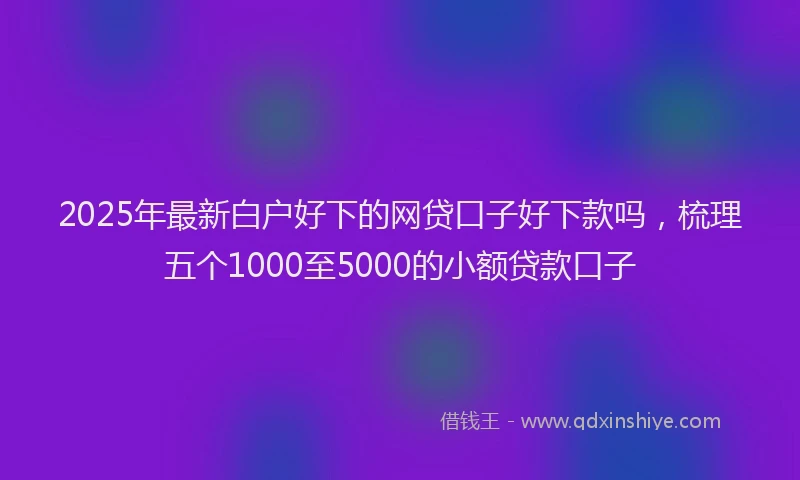 2025年最新白户好下的网贷口子好下款吗，梳理五个1000至5000的小额贷款口子