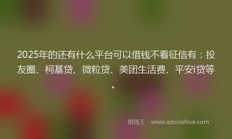 2025年的还有什么平台可以借钱不看征信有：投友圈、柯基贷、微粒贷、美团生活费、平安i贷等。