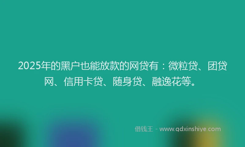 2025年的黑户也能放款的网贷有：微粒贷、团贷网、信用卡贷、随身贷、融逸花等。