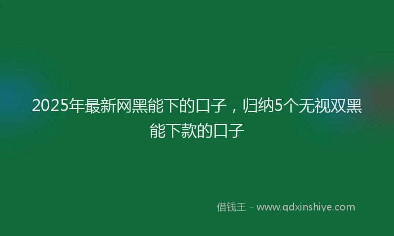 2025年最新网黑能下的口子，归纳5个无视双黑能下款的口子