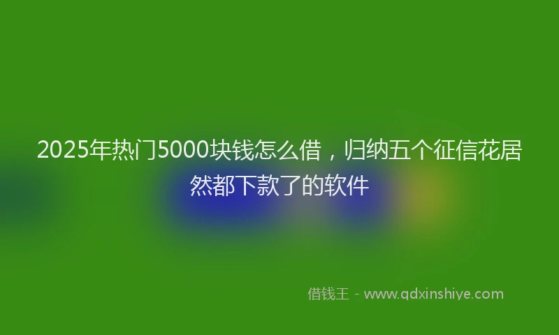 2025年热门5000块钱怎么借，归纳五个征信花居然都下款了的软件