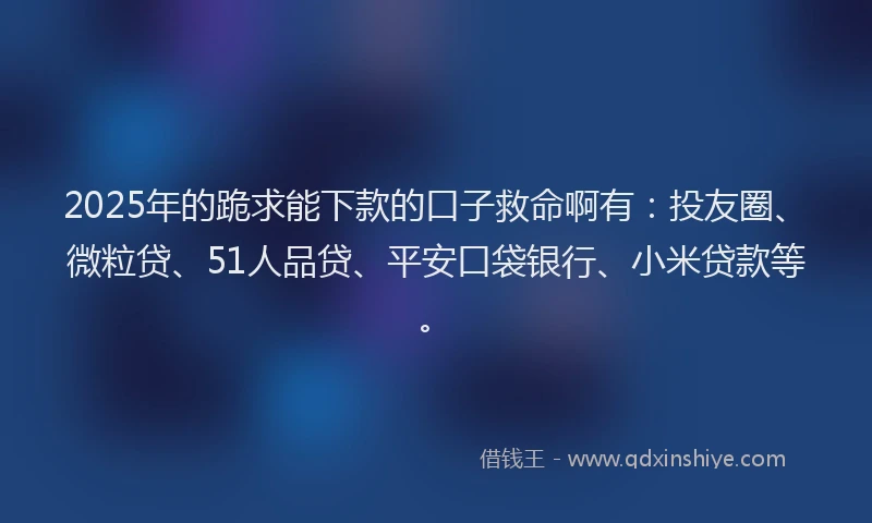 2025年的跪求能下款的口子救命啊有：投友圈、微粒贷、51人品贷、平安口袋银行、小米贷款等。