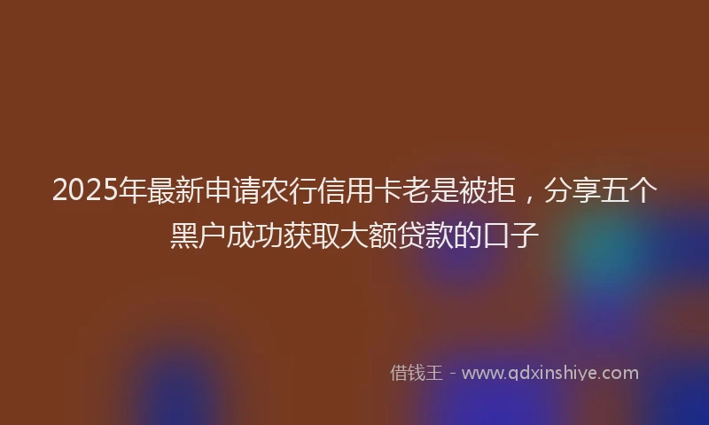 2025年最新申请农行信用卡老是被拒，分享五个黑户成功获取大额贷款的口子