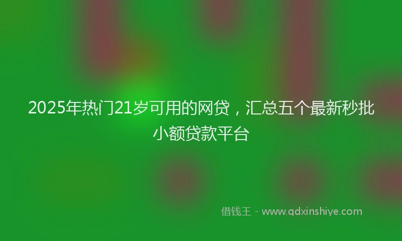 2025年热门21岁可用的网贷，汇总五个最新秒批小额贷款平台