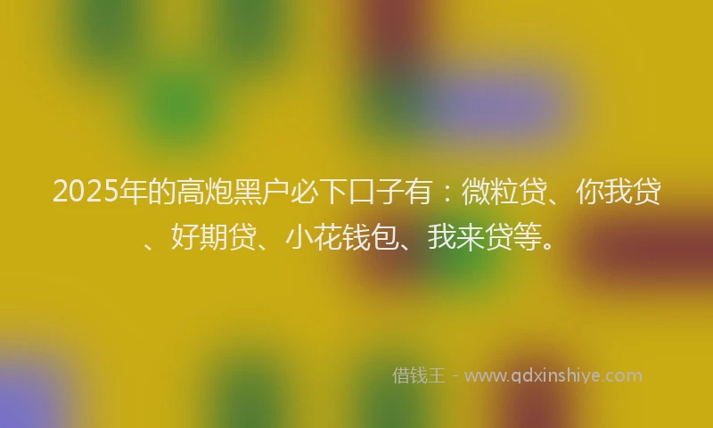 2025年的高炮黑户必下口子有：微粒贷、你我贷、好期贷、小花钱包、我来贷等。