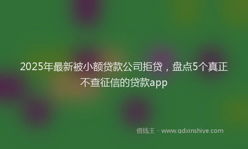 2025年最新被小额贷款公司拒贷，盘点5个真正不查征信的贷款app