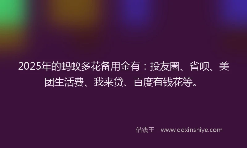 2025年的蚂蚁多花备用金有：投友圈、省呗、美团生活费、我来贷、百度有钱花等。
