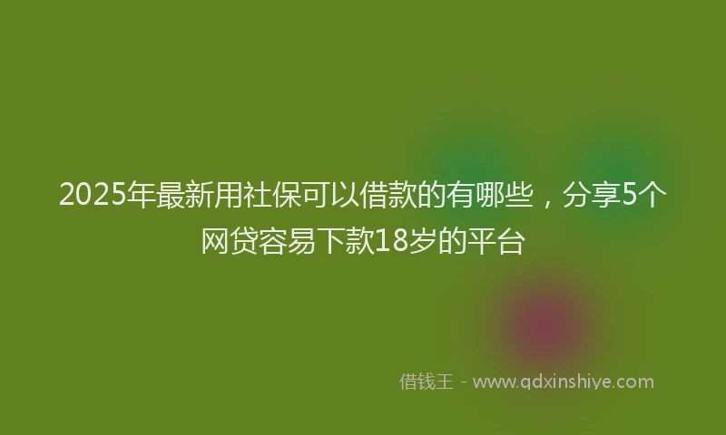 2025年最新用社保可以借款的有哪些，分享5个网贷容易下款18岁的平台