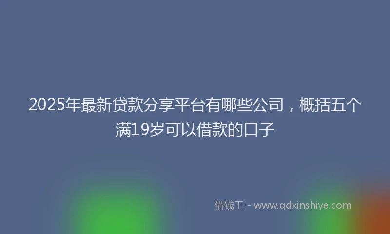 2025年最新贷款分享平台有哪些公司，概括五个满19岁可以借款的口子
