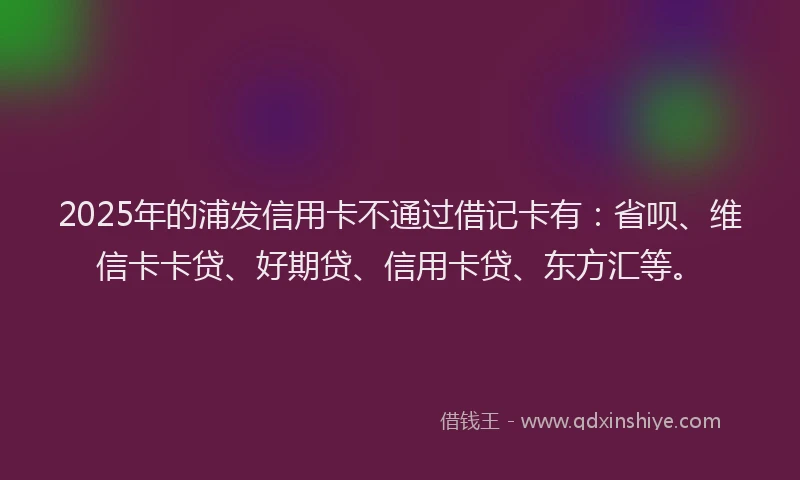 2025年的浦发信用卡不通过借记卡有：省呗、维信卡卡贷、好期贷、信用卡贷、东方汇等。