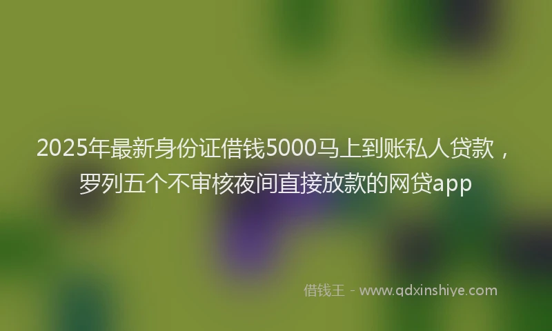 2025年最新身份证借钱5000马上到账私人贷款，罗列五个不审核夜间直接放款的网贷app