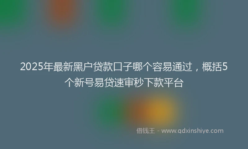 2025年最新黑户贷款口子哪个容易通过，概括5个新号易贷速审秒下款平台