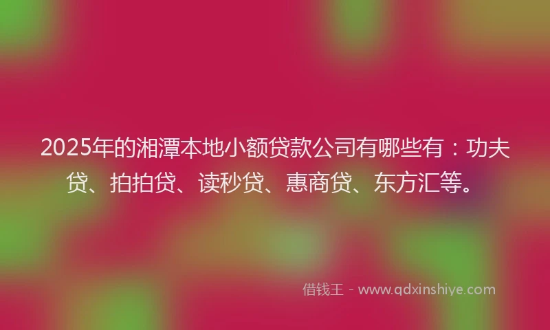 2025年的湘潭本地小额贷款公司有哪些有：功夫贷、拍拍贷、读秒贷、惠商贷、东方汇等。