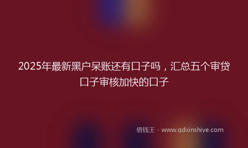 2025年最新黑户呆账还有口子吗，汇总五个审贷口子审核加快的口子