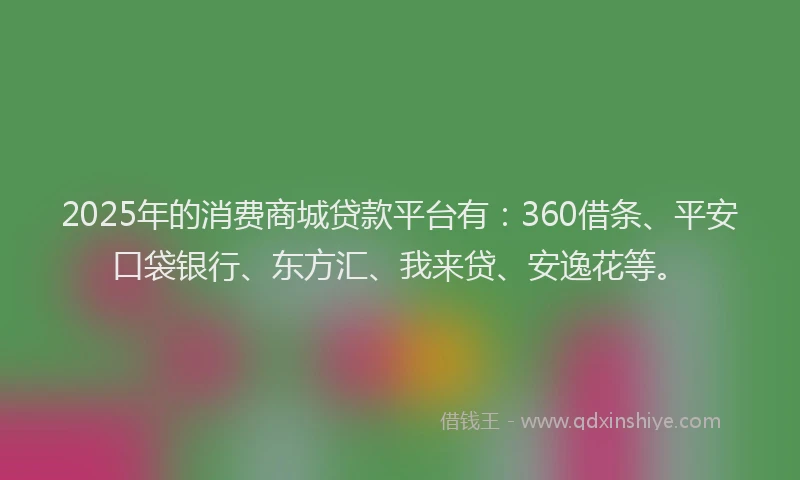 2025年的消费商城贷款平台有：360借条、平安口袋银行、东方汇、我来贷、安逸花等。