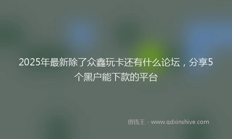 2025年最新除了众鑫玩卡还有什么论坛，分享5个黑户能下款的平台