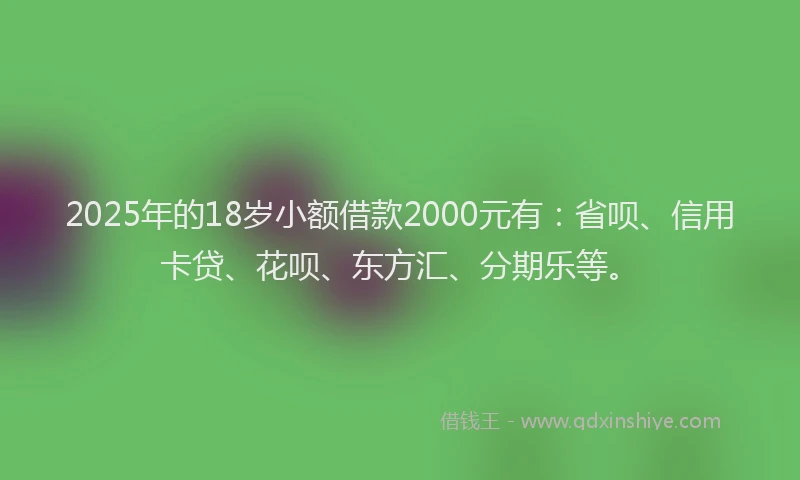 2025年的18岁小额借款2000元有：省呗、信用卡贷、花呗、东方汇、分期乐等。